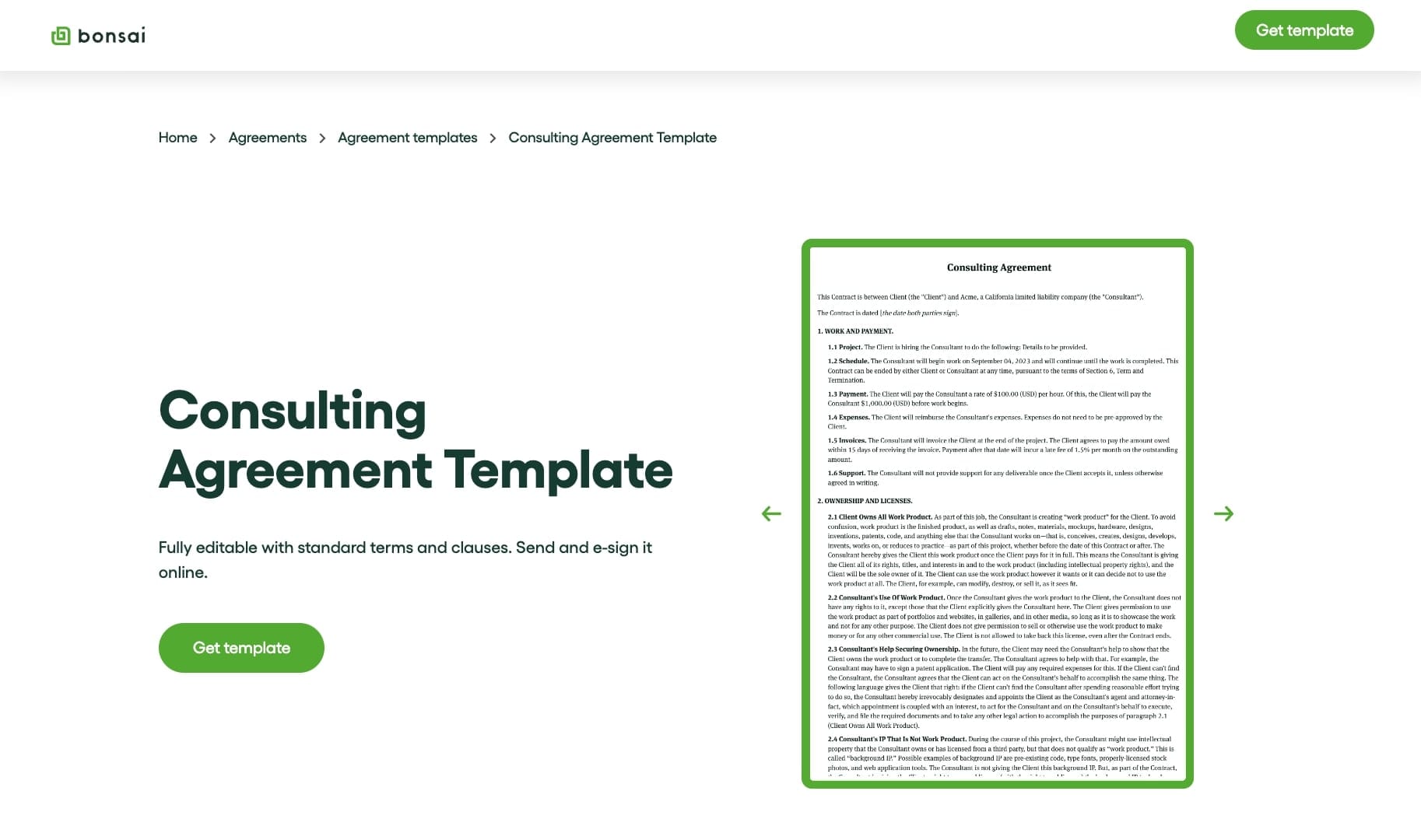 General consulting services template